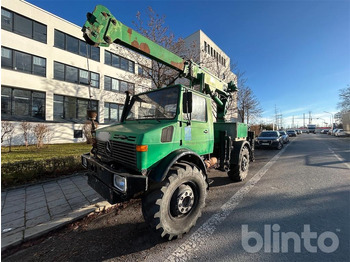 Φορτηγό με γερανό UNIMOG