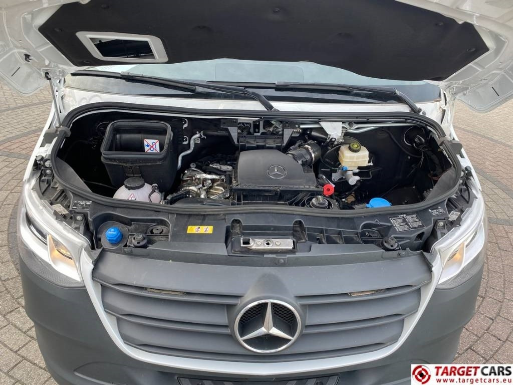 Βαν Mercedes-Benz 319CDI Sprinter L2H2 Aut Euro6E Roof Damage: φωτογραφία 19